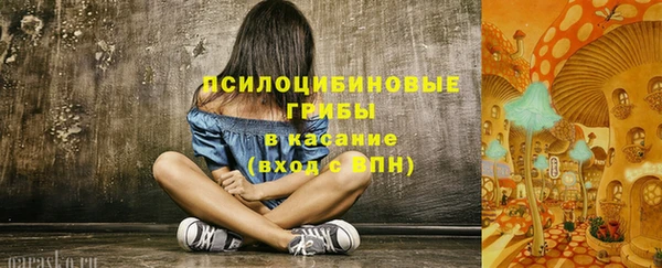 mdpv Каменка