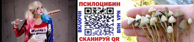 mega вход  Пролетарск  Галлюциногенные грибы Psilocybe 