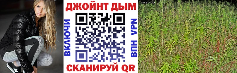 Бошки Шишки сатива Пролетарск
